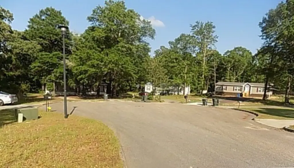Picture 5