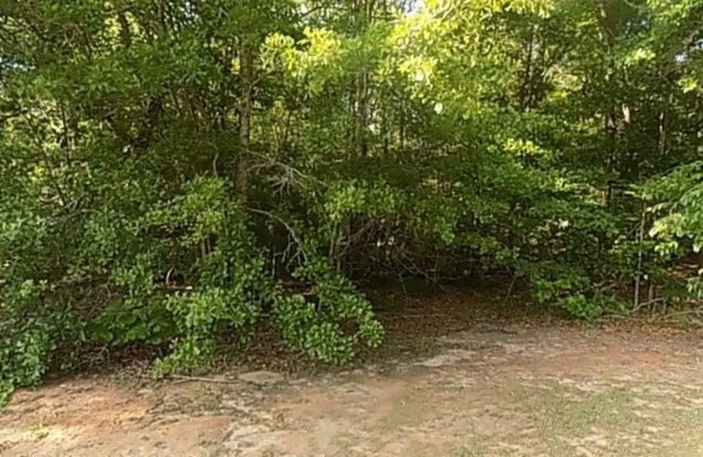 Picture 2