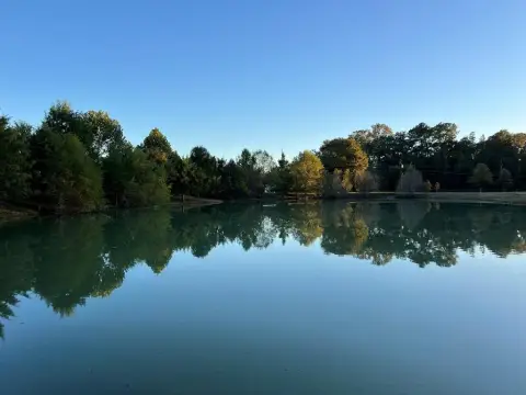 Residential Land with Pond and Pool