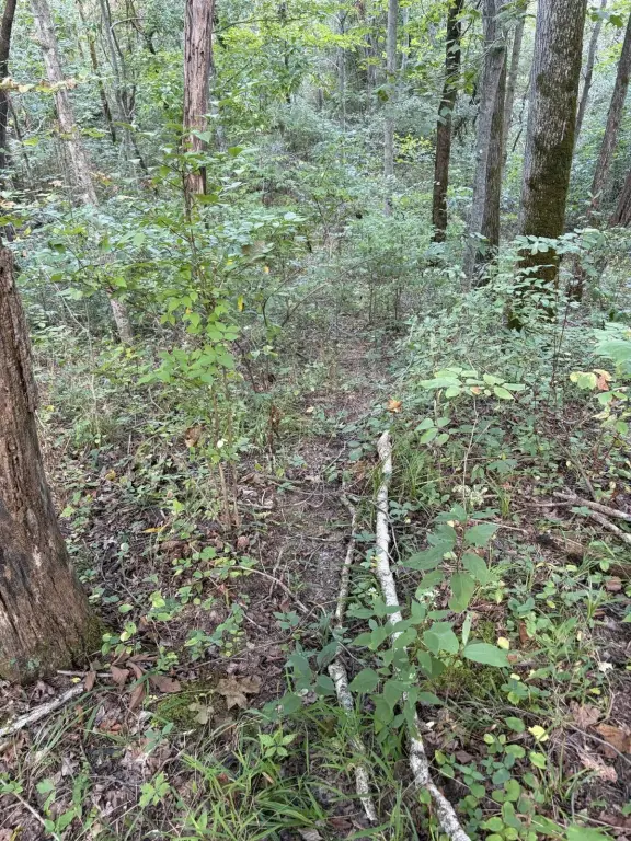 Picture 38
