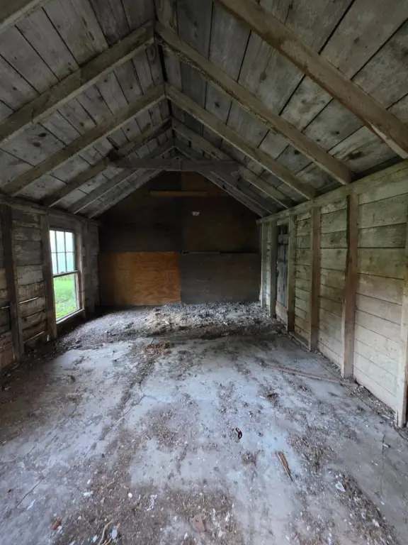 Picture 65