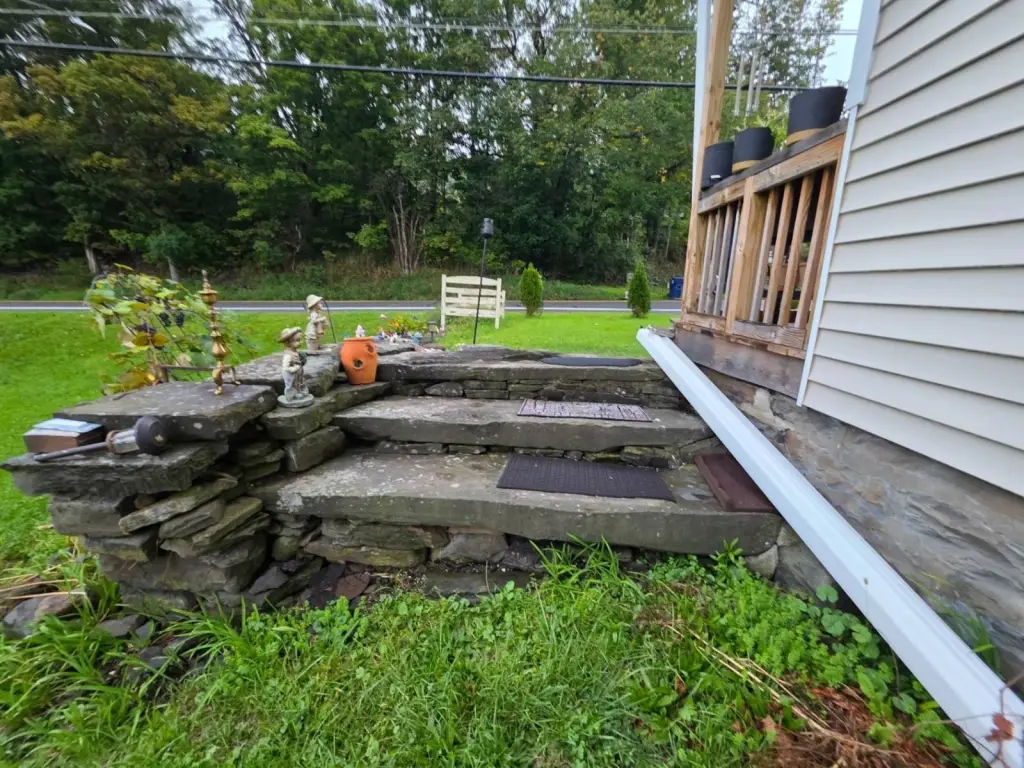 Picture 6