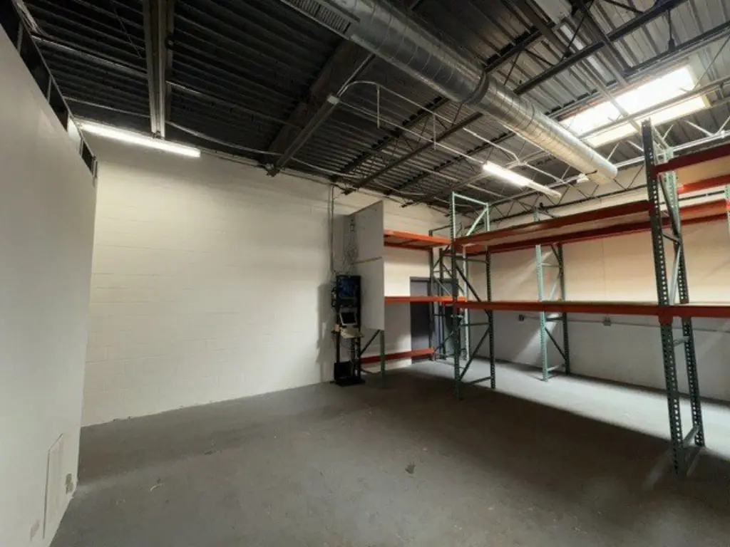 Picture 8