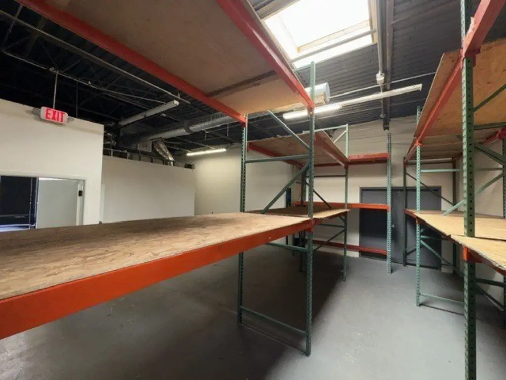 Picture 5