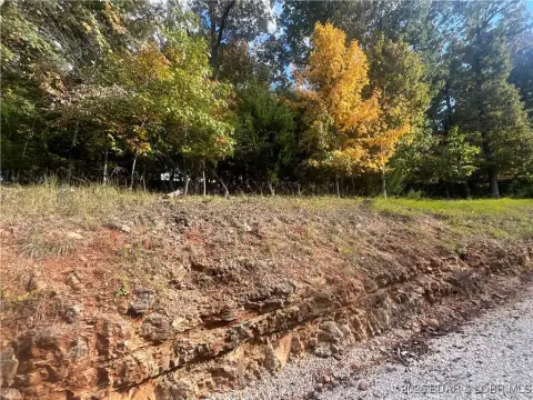 Lake View Lot in Four Seasons