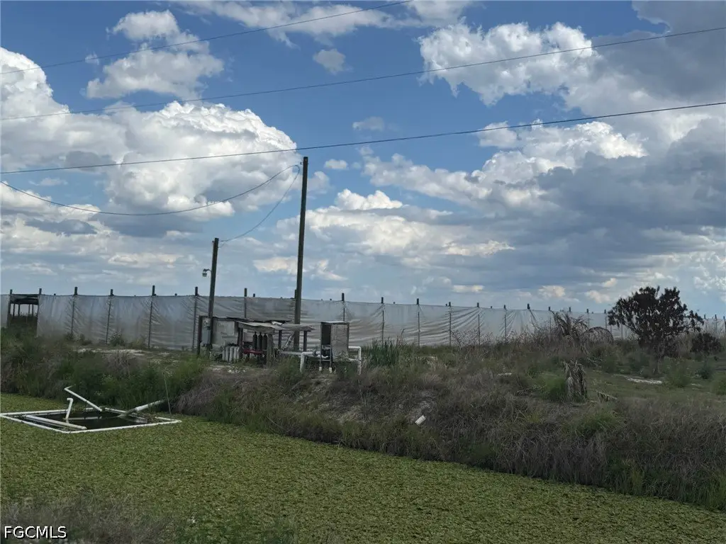 Picture 9