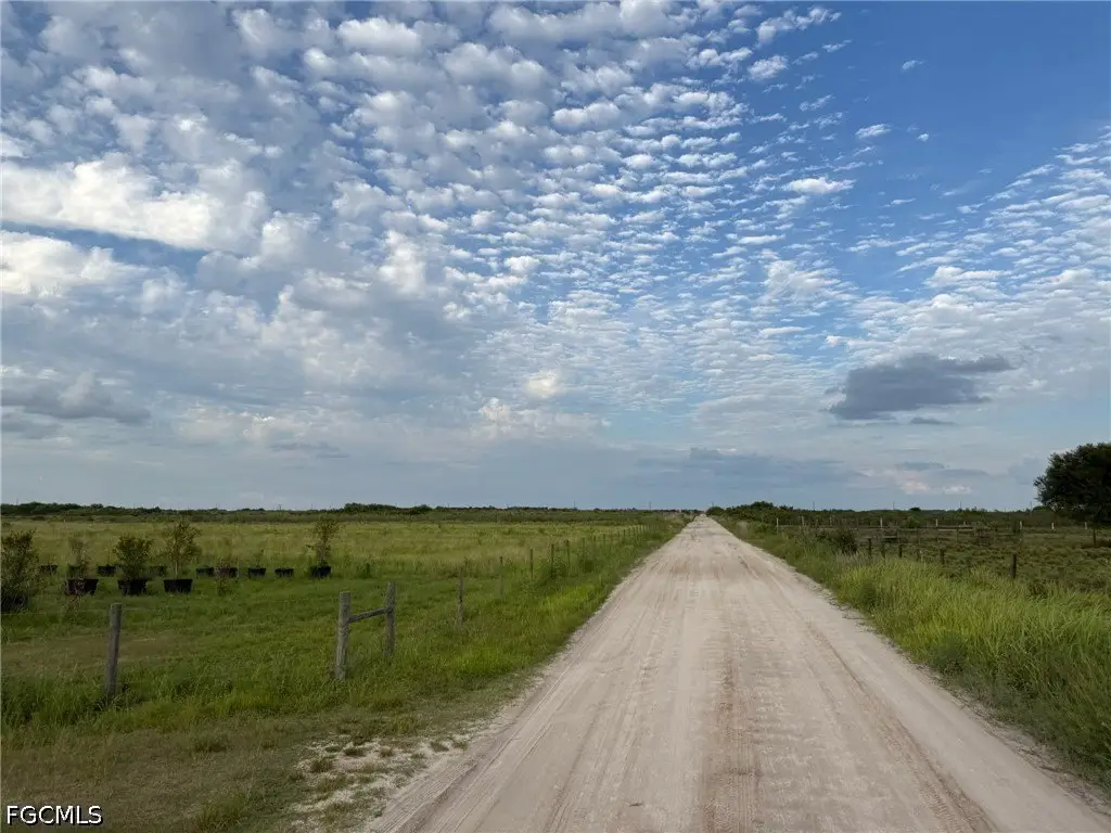 Picture 10