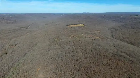Ozark Timberland with Build Potential