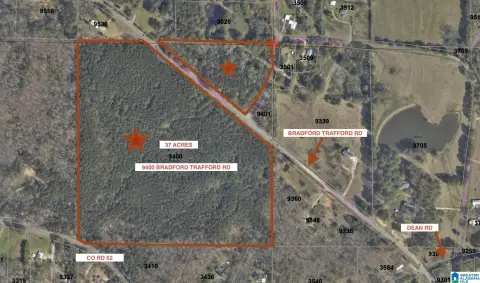 Undeveloped Wooded Land Near Birmingham