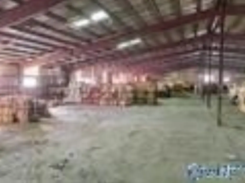 Picture 17