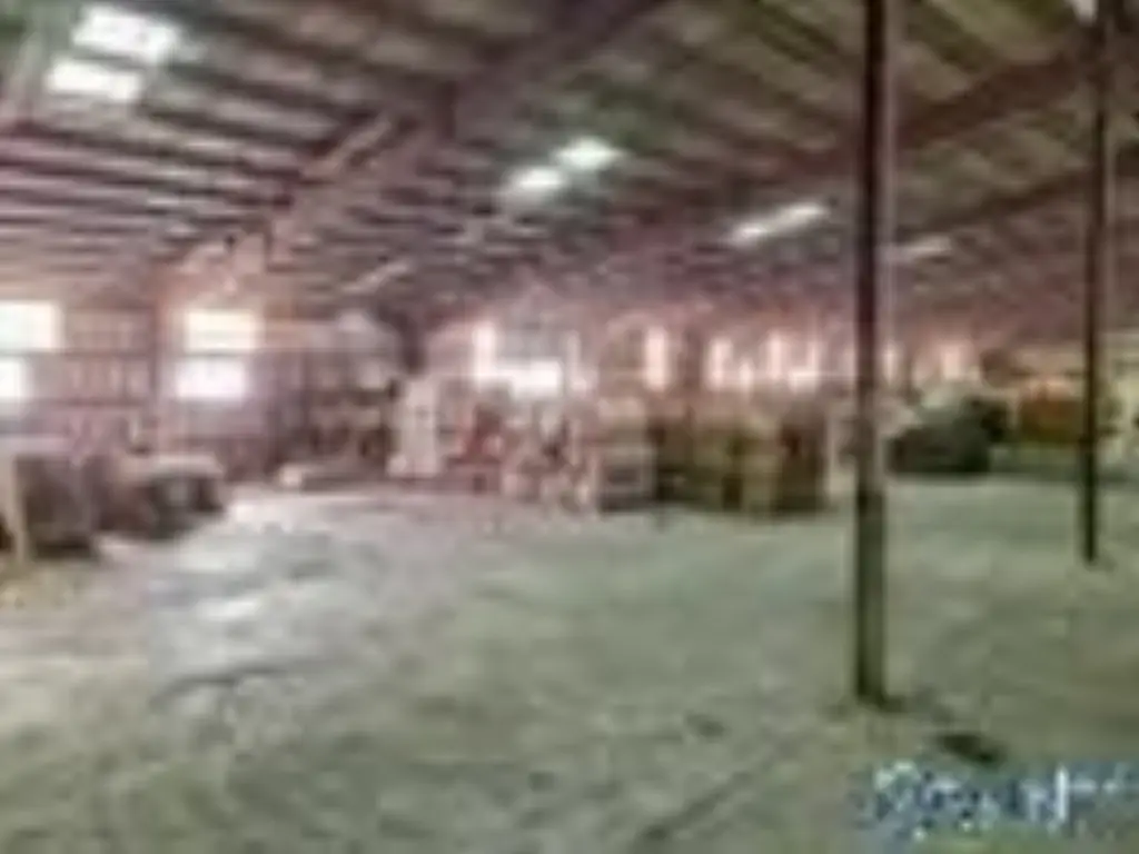 Picture 16