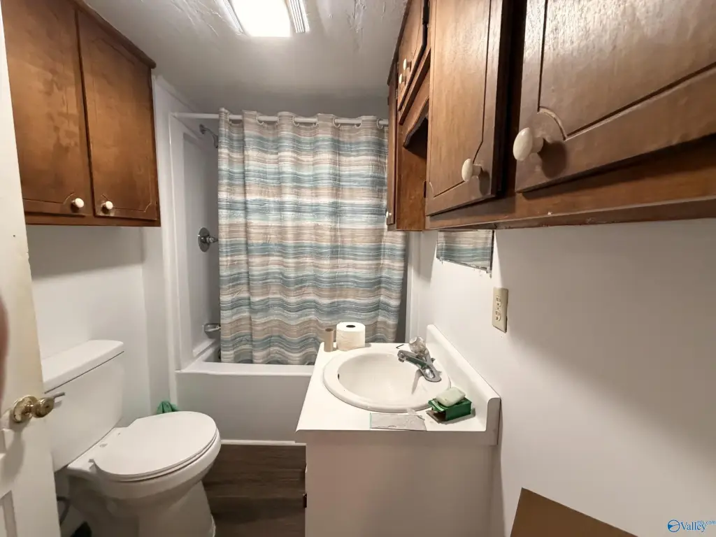 Picture 19