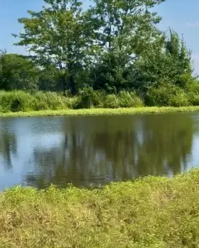 200 Acres Near Lake Eufaula