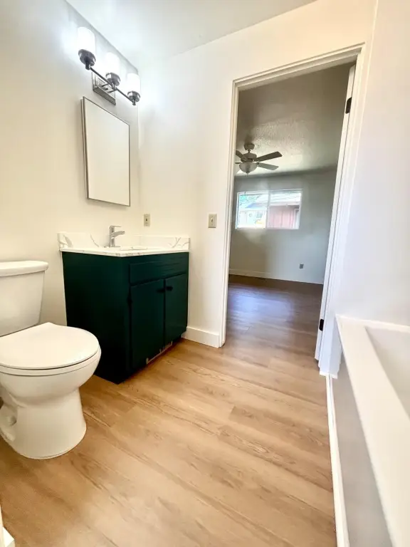 Picture 18