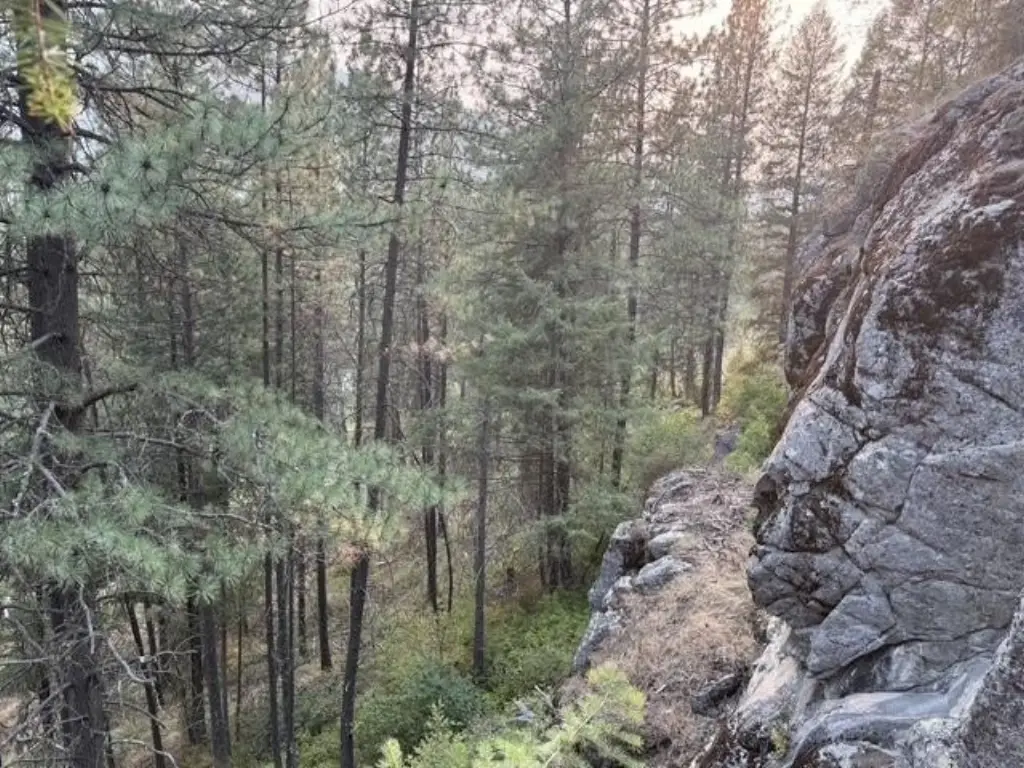 Picture 4