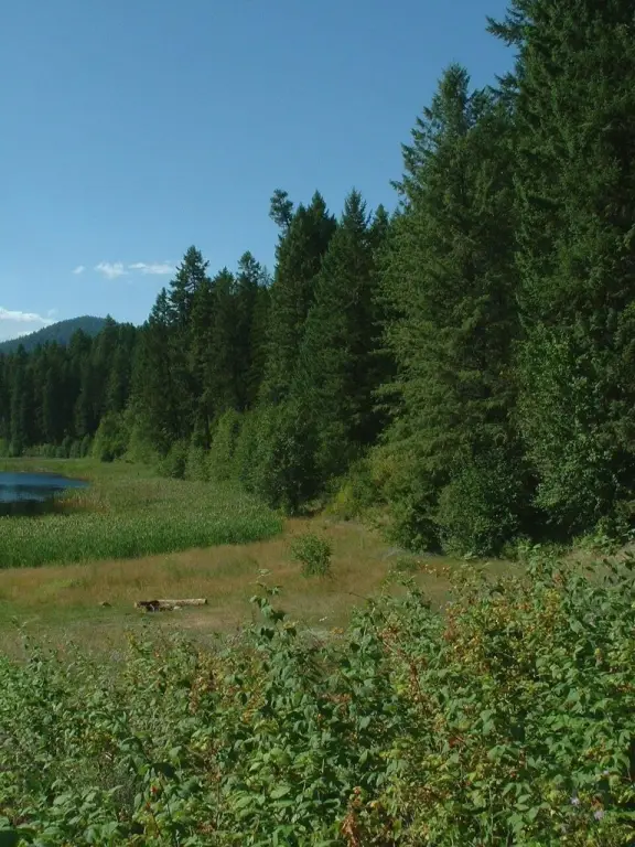Picture 9
