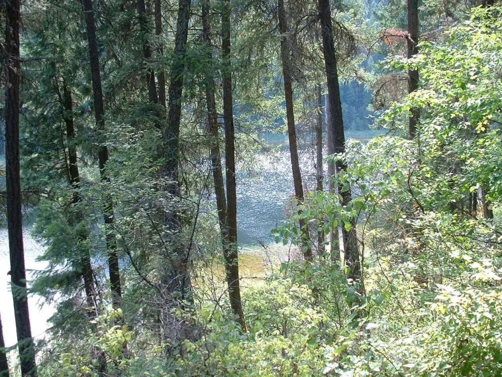 Picture 4