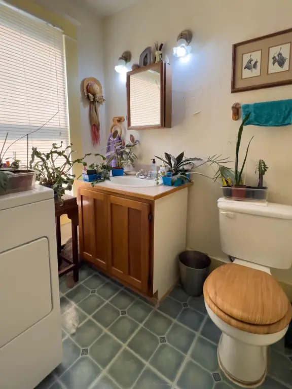 Picture 21