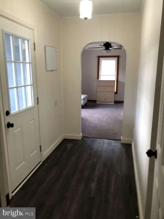 Picture 14