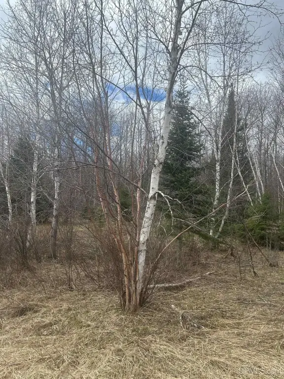 Picture 13