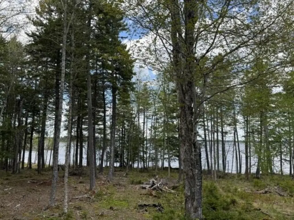 Picture 19