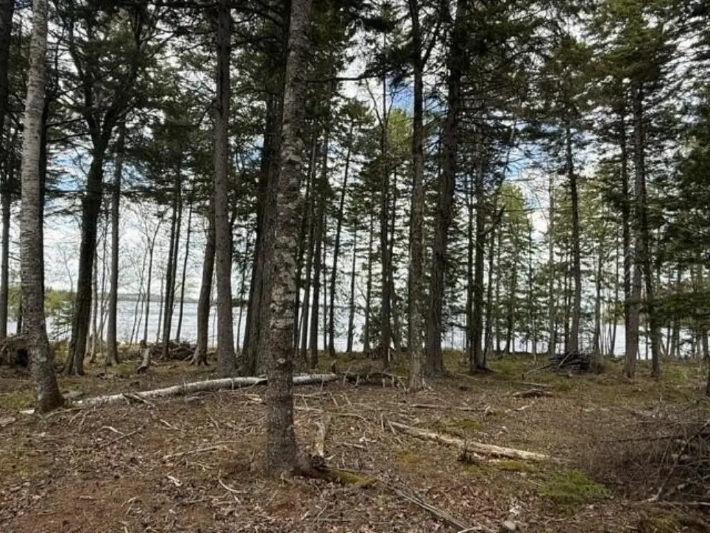 Picture 18