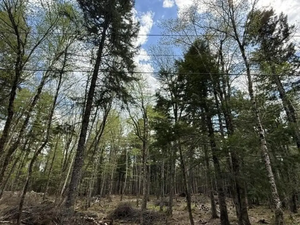 Picture 22