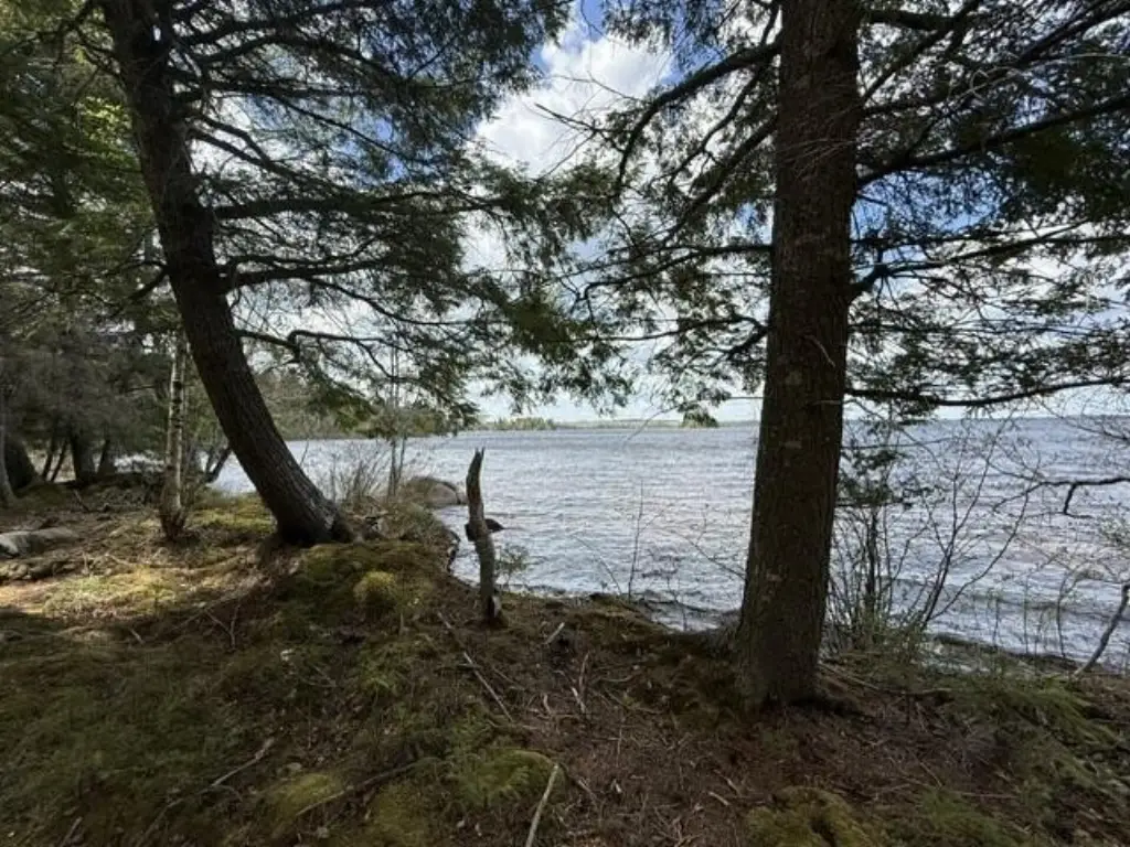 Picture 12