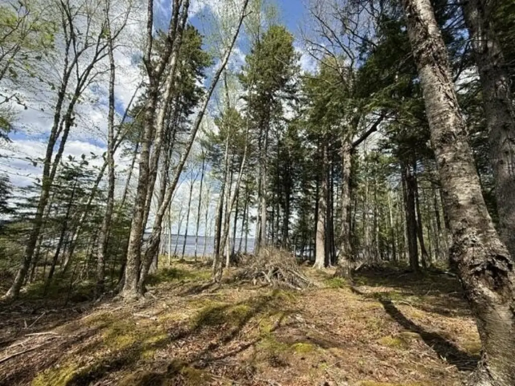 Picture 25