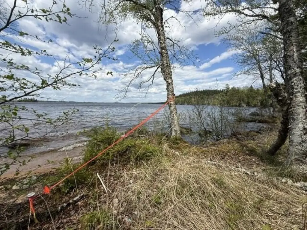 Picture 13