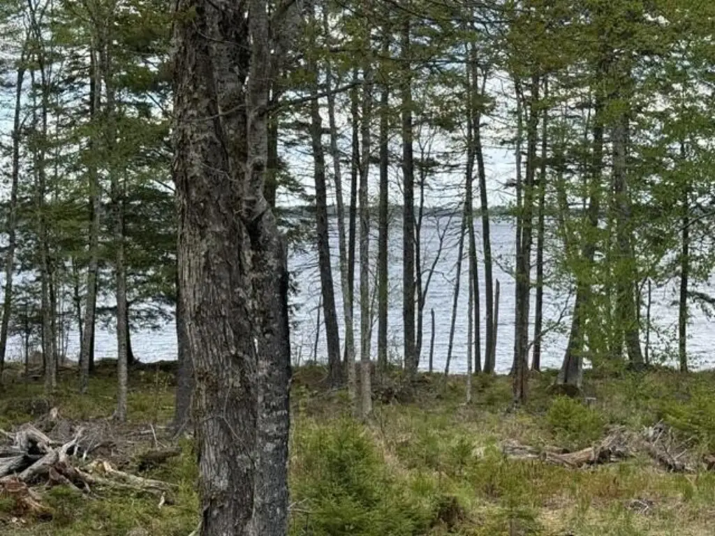 Picture 17