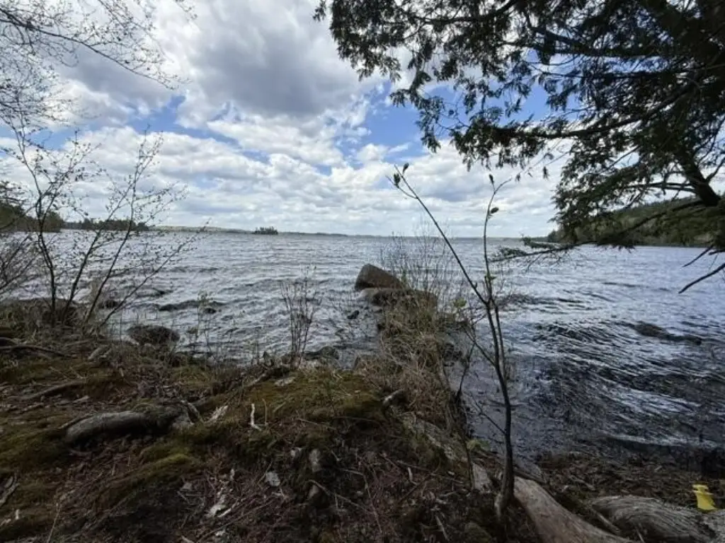 Picture 10