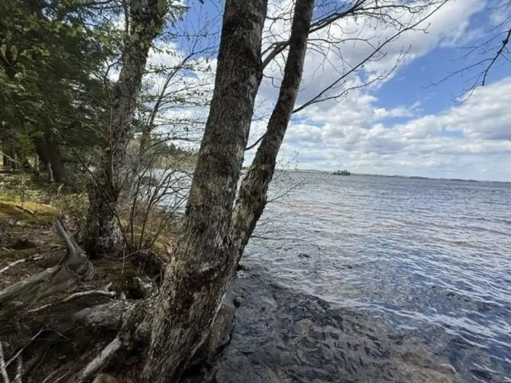 Picture 7