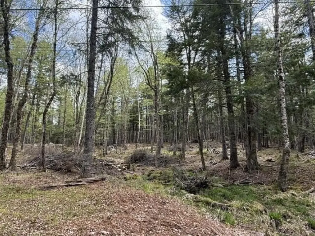 Picture 23