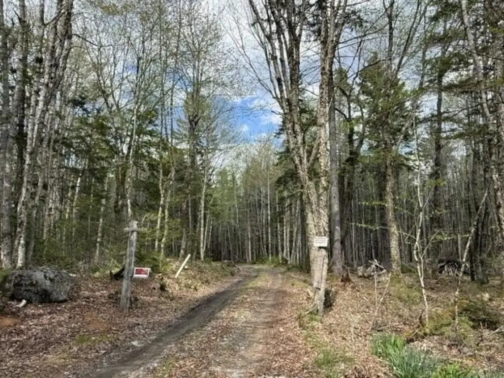 Picture 33