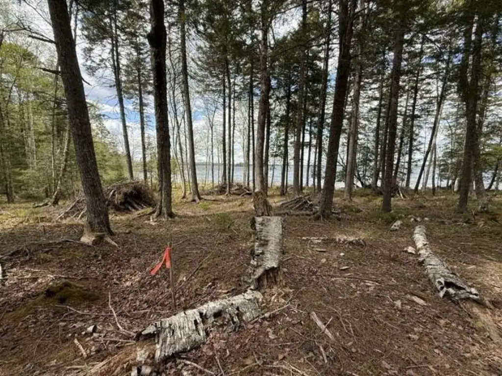 Picture 26