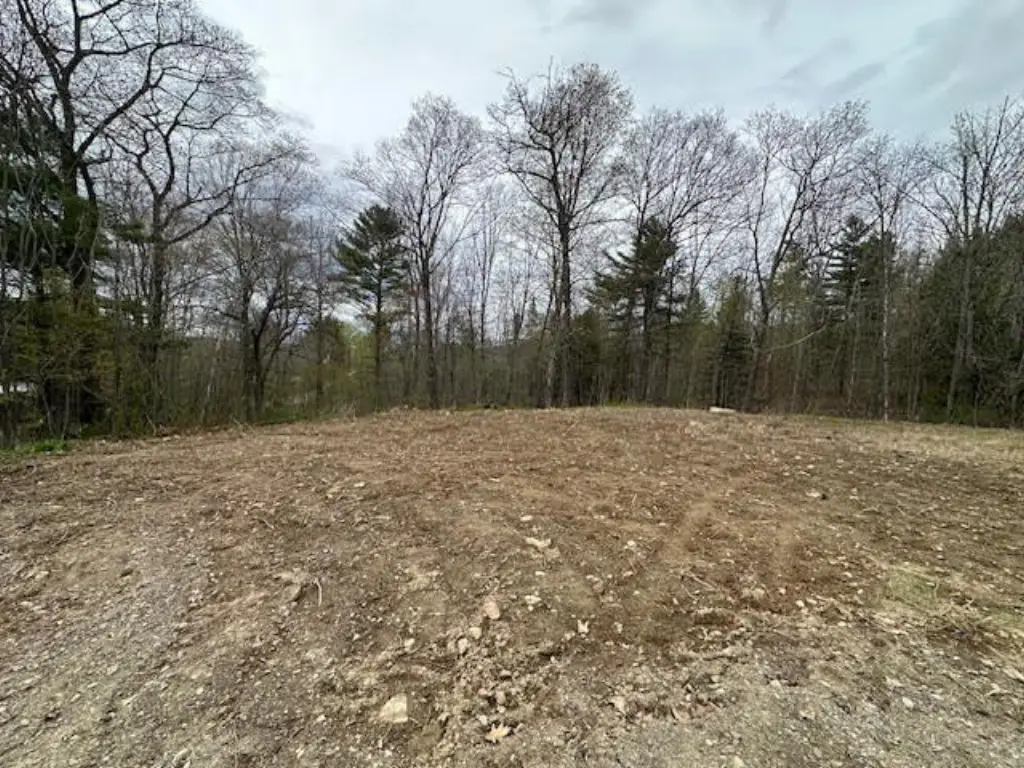 Picture 13