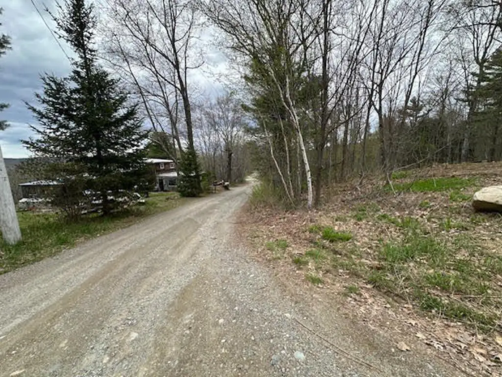 Picture 15