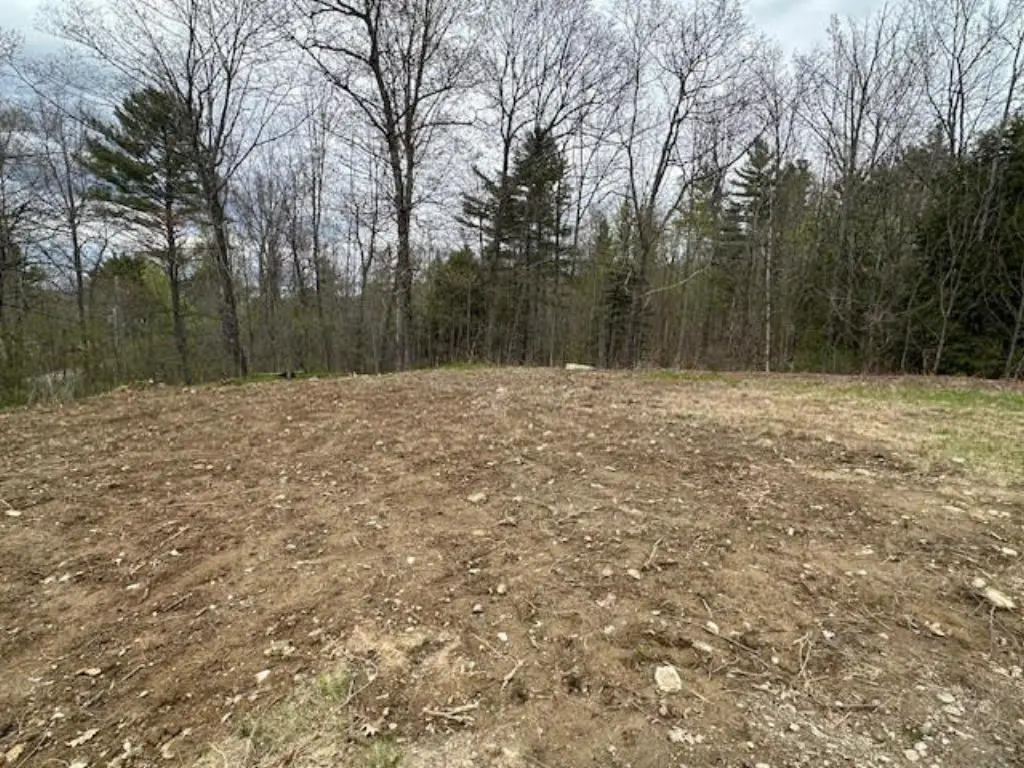 Picture 2