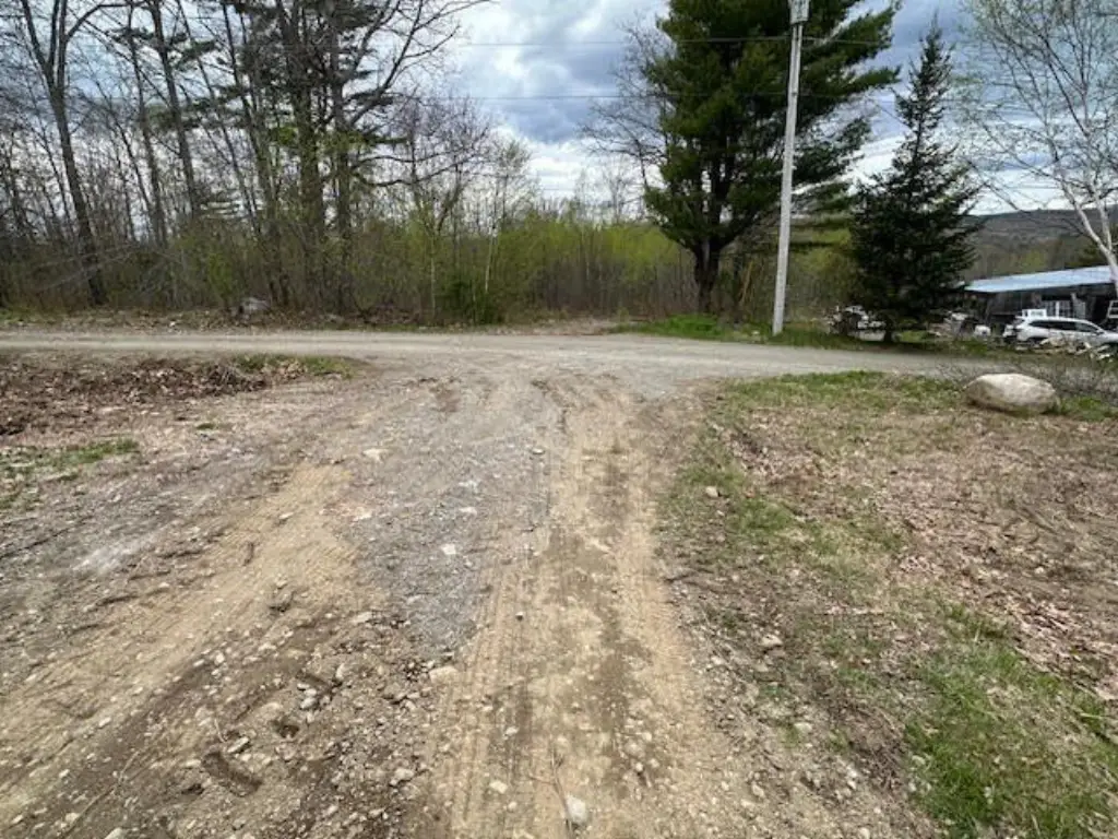 Picture 11