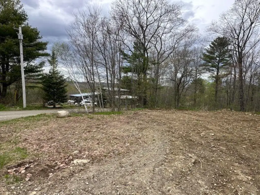 Picture 6