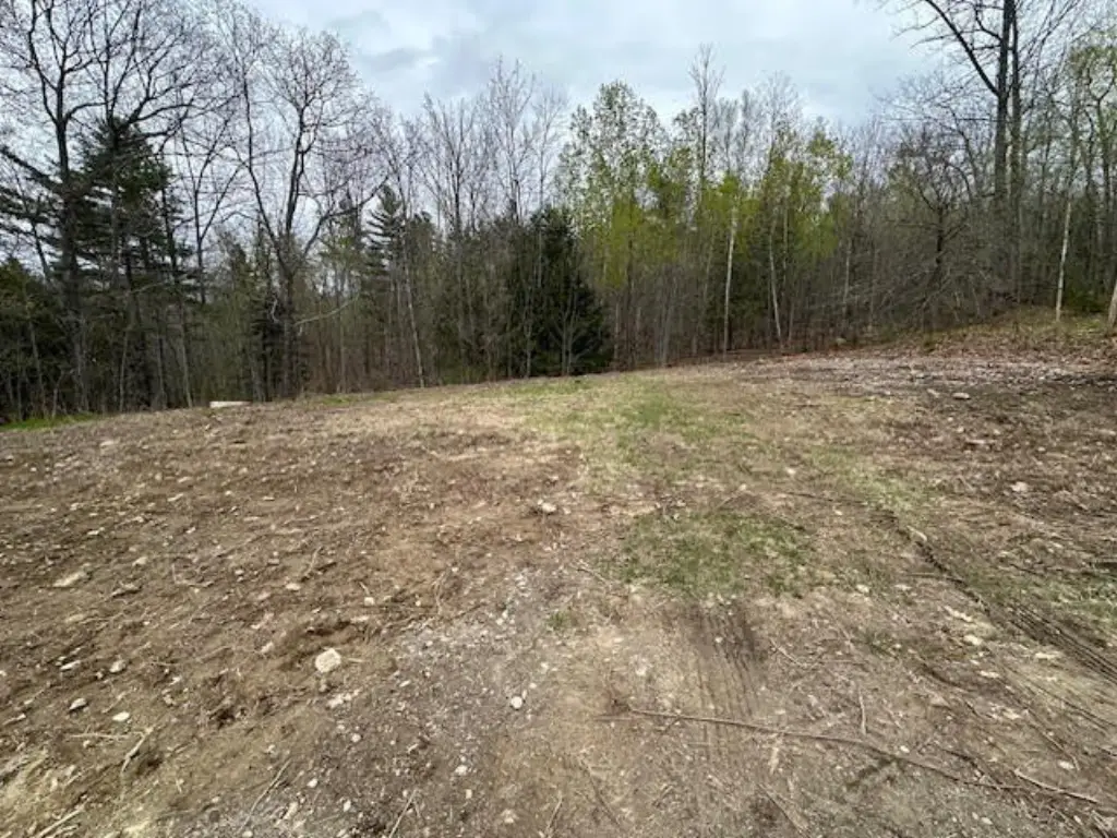 Picture 5