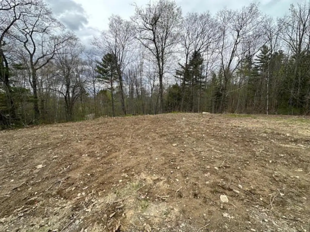 Picture 4