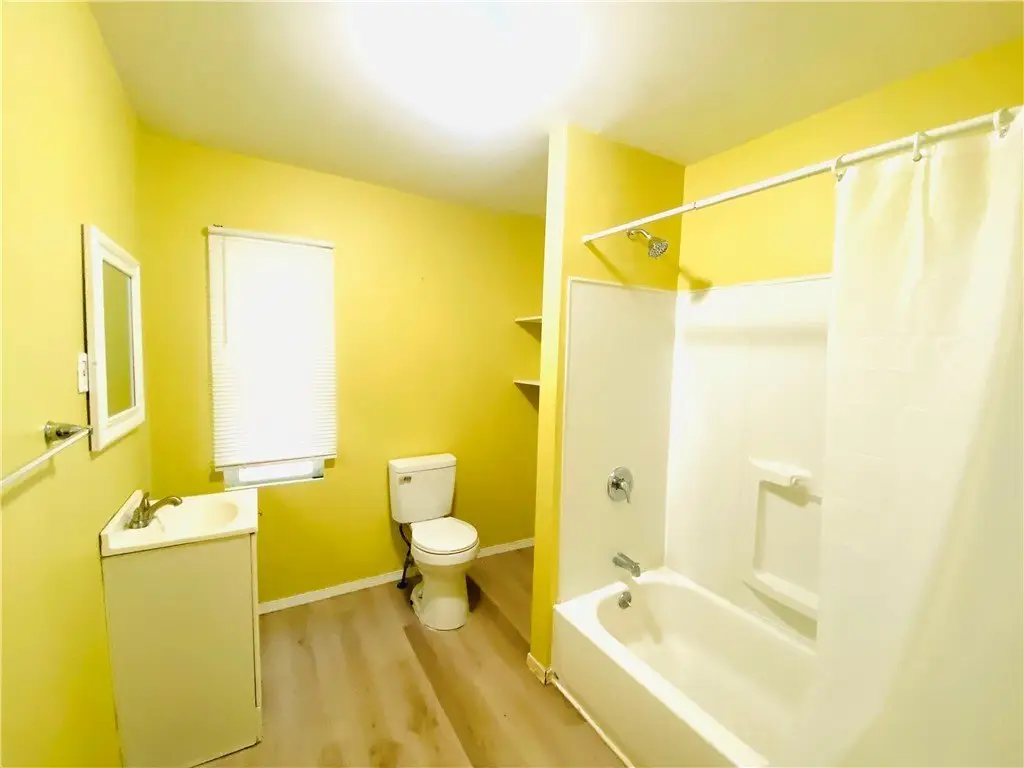 Picture 8