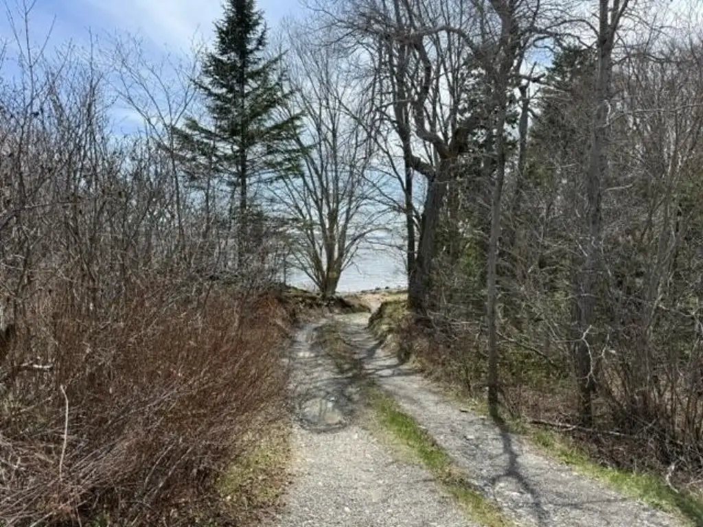Picture 13