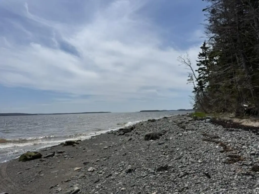 Picture 18