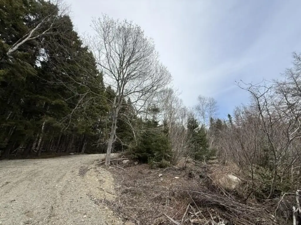 Picture 8