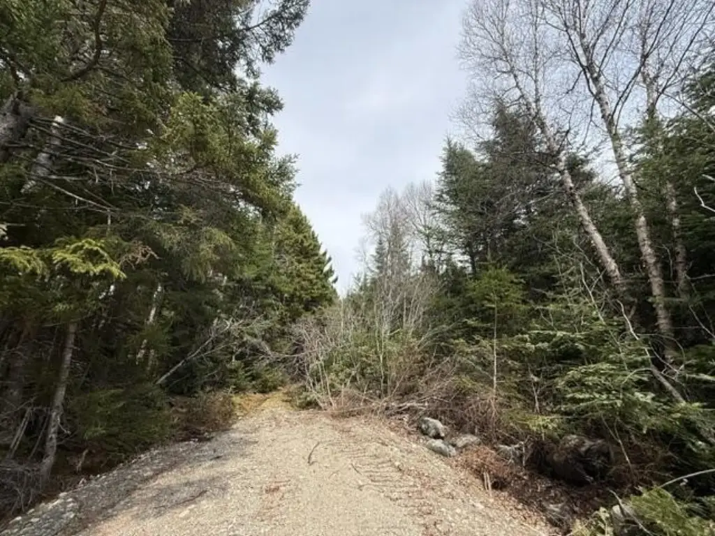 Picture 7