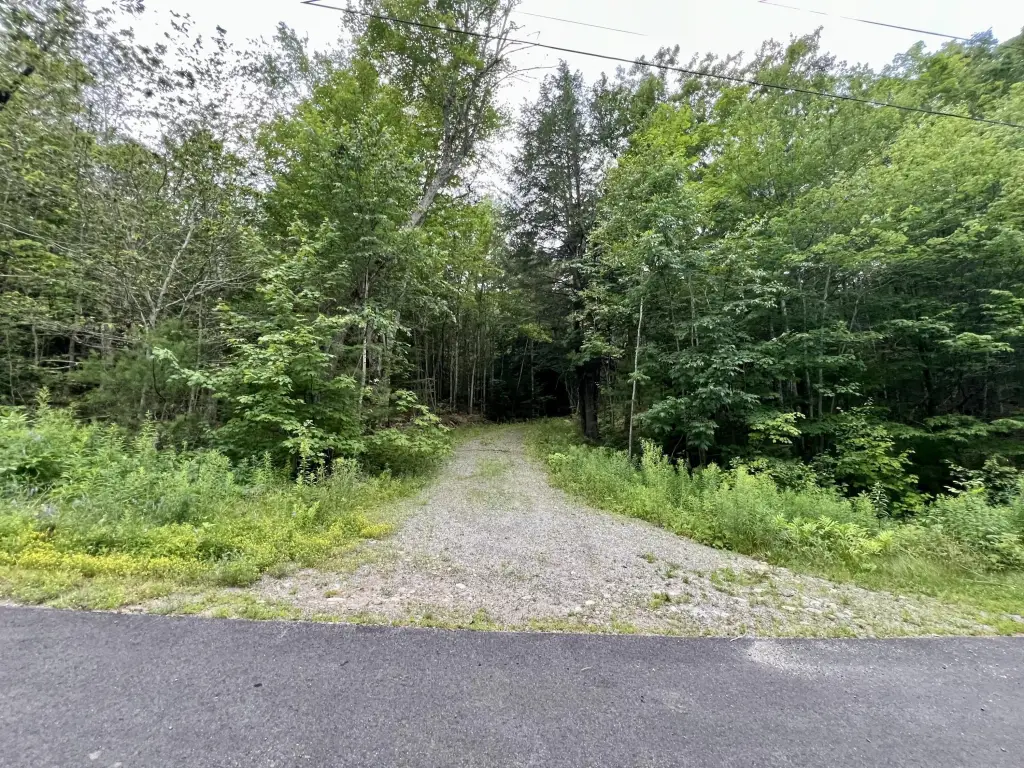 Picture 21