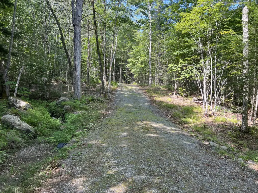 Picture 24